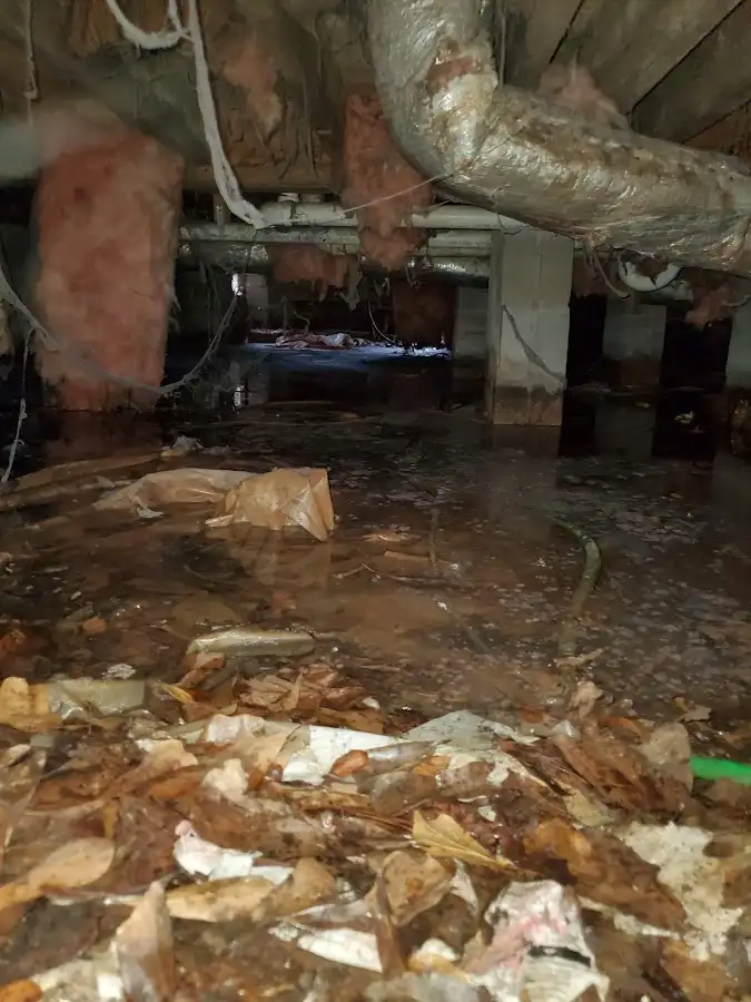 Crawl space flood assessment for Leak Detection & Repair in Mount Vernon
